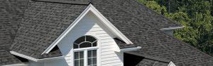 Asphalt Roof Shingles