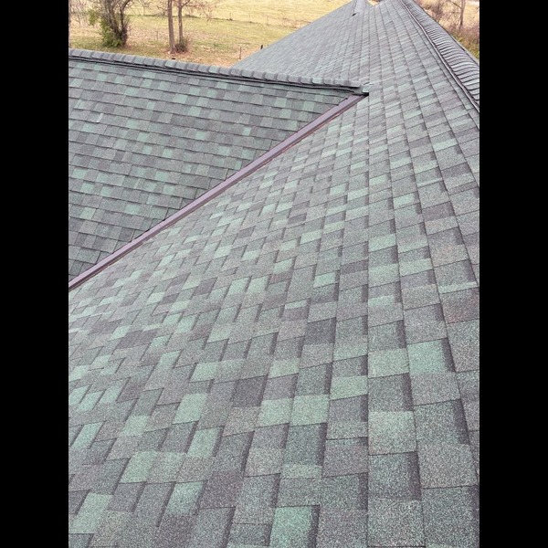 Shingle Repair